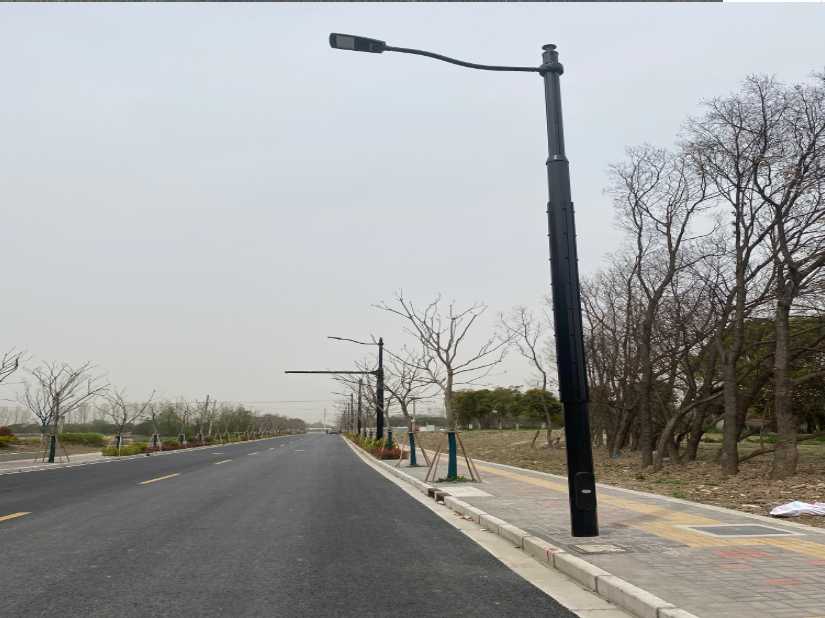 大冶市上海综合杆 太阳能路灯工程